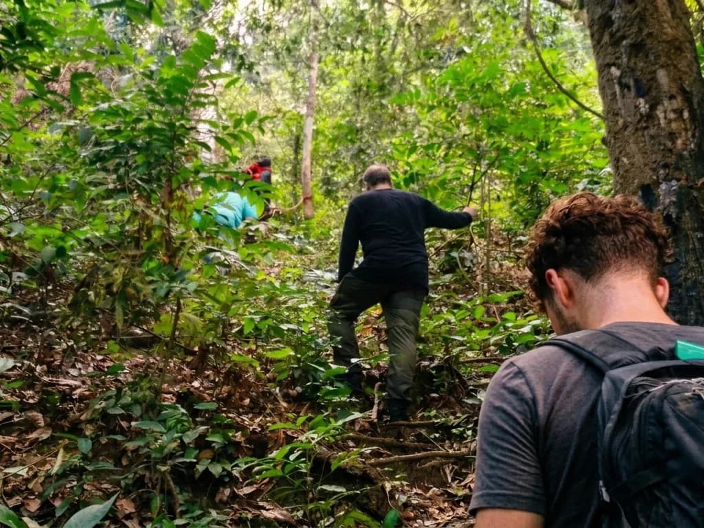 4WD jungle transport and local guiding in Meru Betiri