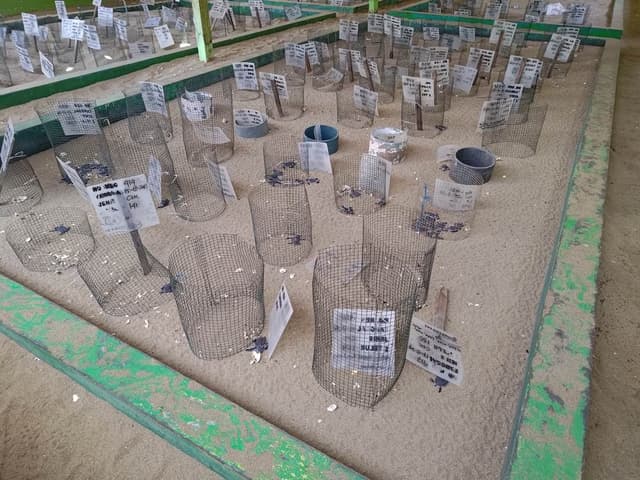Hatchery Visit