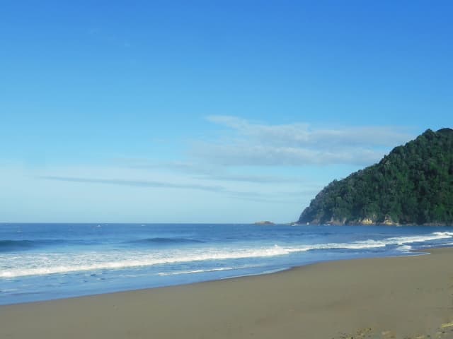 Bird Watching photo 4