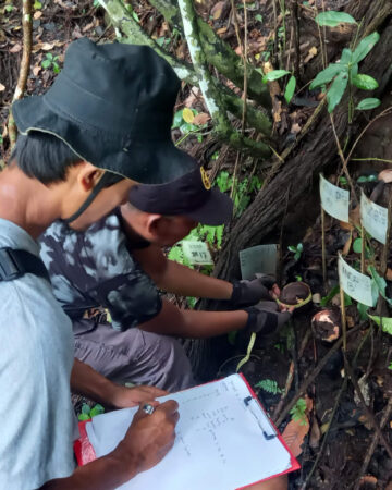 Rafflesia Monitoring